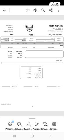 סאן יאנג ג'וי-מקס 300 XI