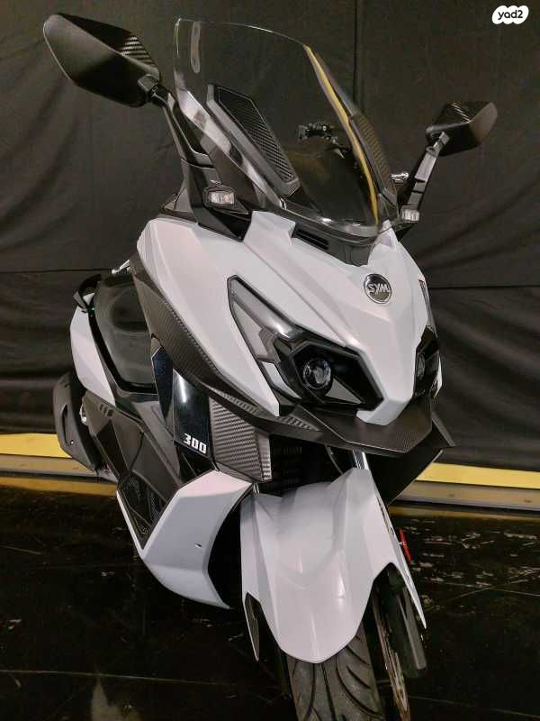 סאן יאנג קרוזים 300