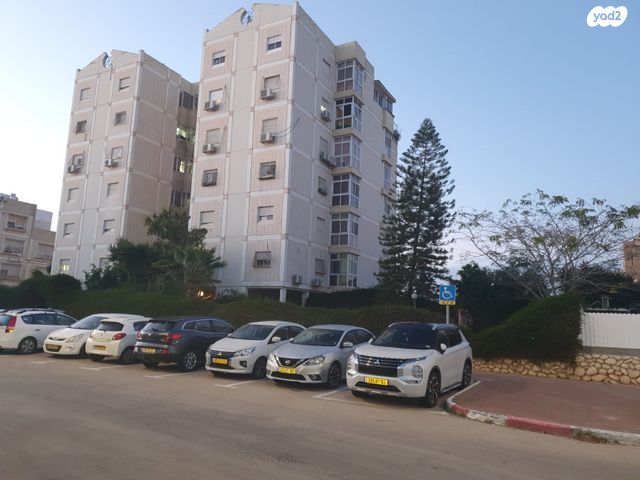 אהרון ציזלינג 6