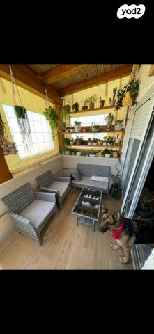 דירה, הגומא 4, צמח השדה, מעלה אדומים