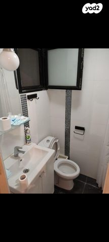 אלכסנדר זייד 31