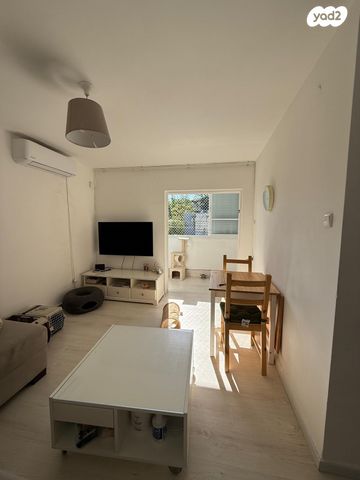 הרב הרצוג 15