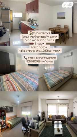 רחבת אלכסנדרוני 15