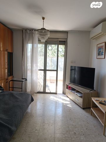 פנחס לבון 13