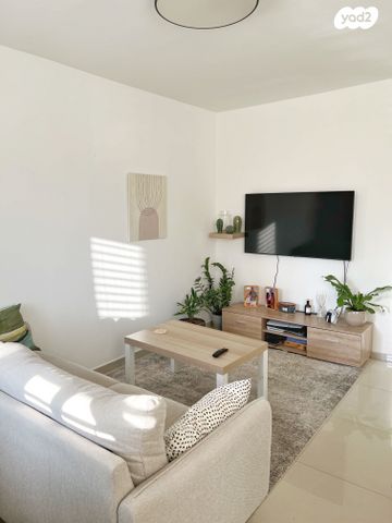 פנחס ספיר 11