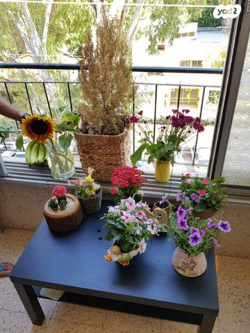 דירה, הנשיא הראשון 47, א' / צפון מזרח העיר, רחובות