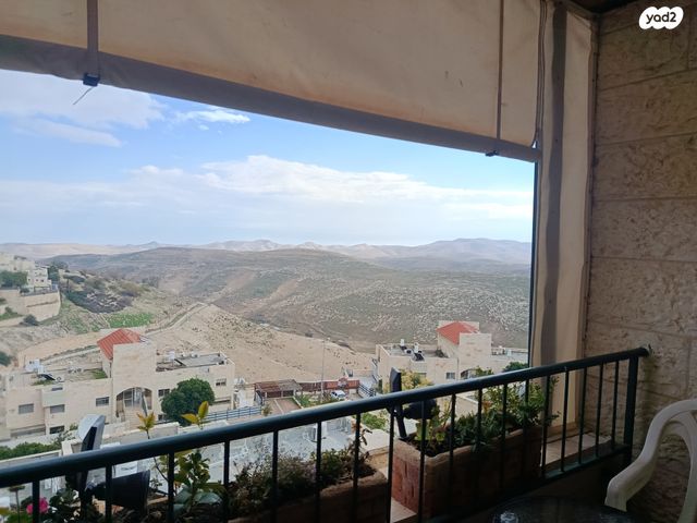 דירה, התלתן 14, צמח השדה, מעלה אדומים