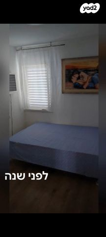 שאול הדדי 21