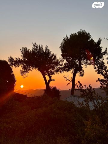 דירת גן, אלה 14, אורה, אורה