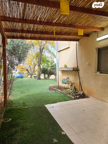 יונה פישר 21