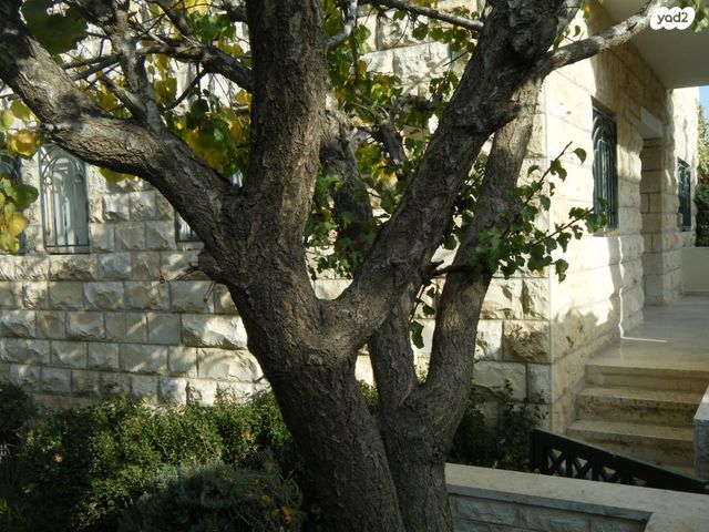 שמריהו לוין 70