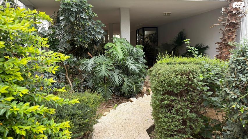 דירה, יהואש 10, ב' / צפון מערב העיר, רחובות