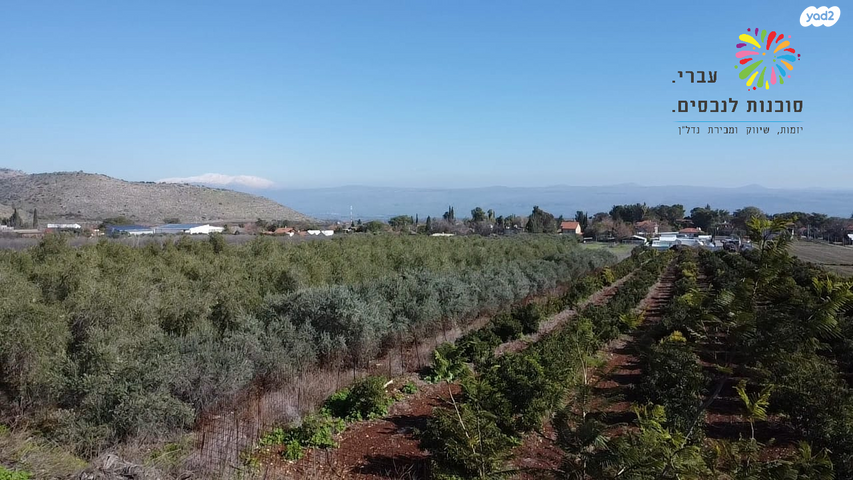 בית פרטי/ קוטג'