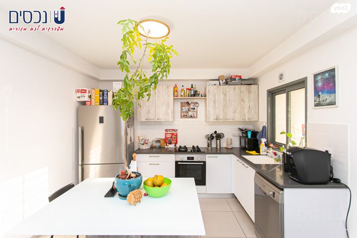 דירה, משכנות האומנים, קרית מוצקין