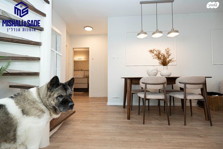 דופלקס, סגל 1, בית אליעזר, חדרה