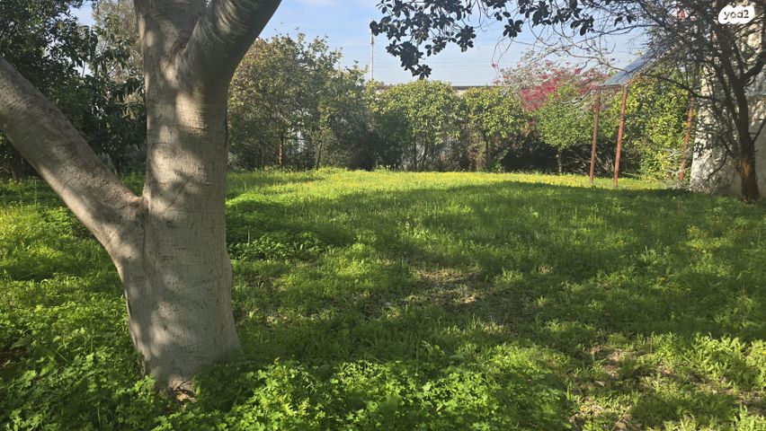 משק חקלאי/ נחלה, סתריה