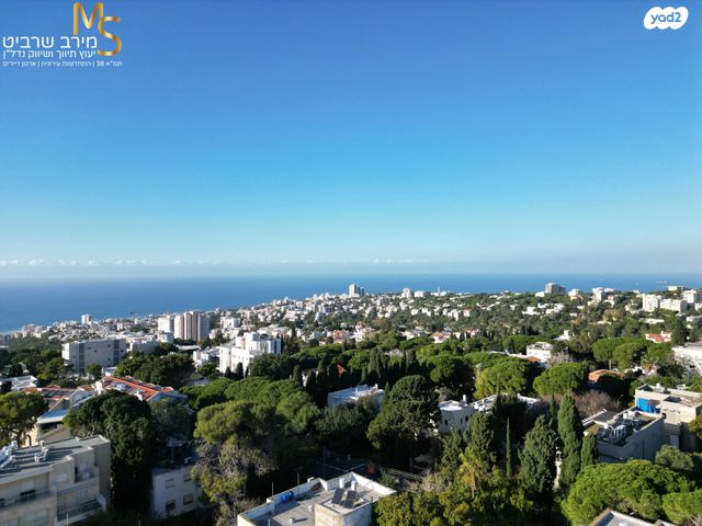 דירה, בנימין ד'ישראלי, אחוזה, חיפה