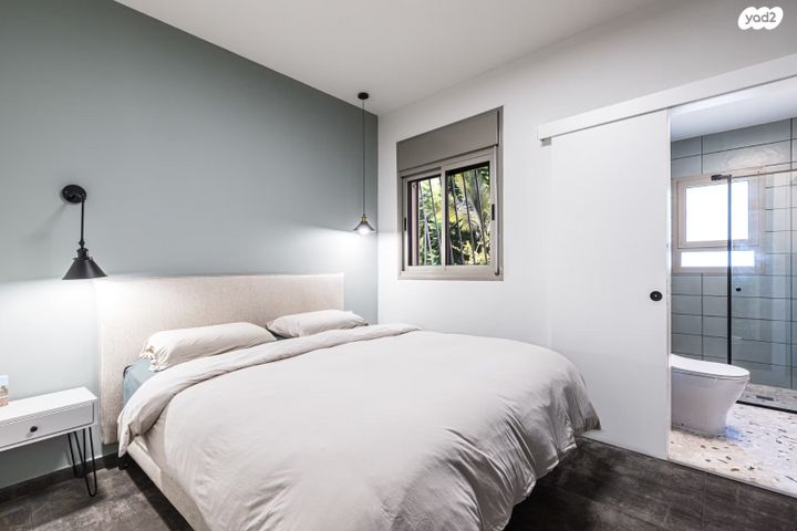 דירה, עונות השנה 6, וואלי, העמק, נס ציונה