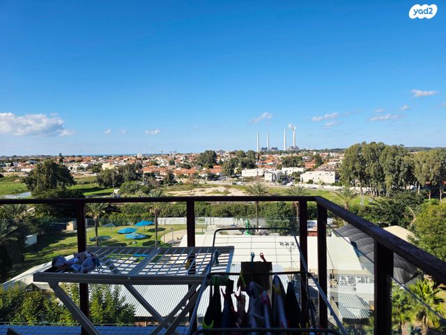 דירה, פרנק, חדרה