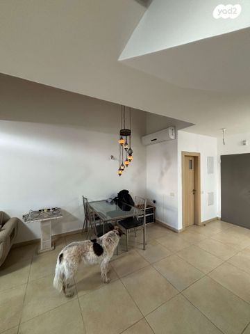 דירת גן, צור יצחק, צור יצחק