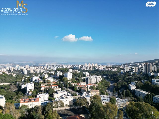 דירה, בנימין ד'ישראלי, אחוזה, חיפה