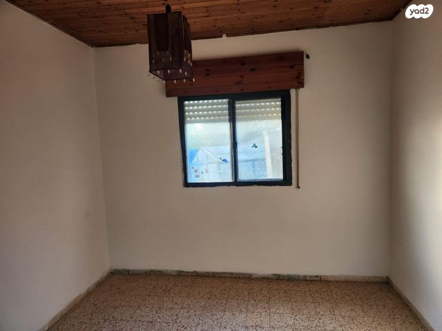 דו משפחתי, אלה, לוטם