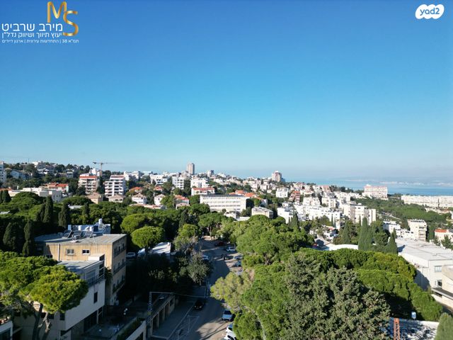 בנימין ד'ישראלי 