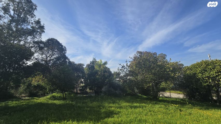 משק חקלאי/ נחלה