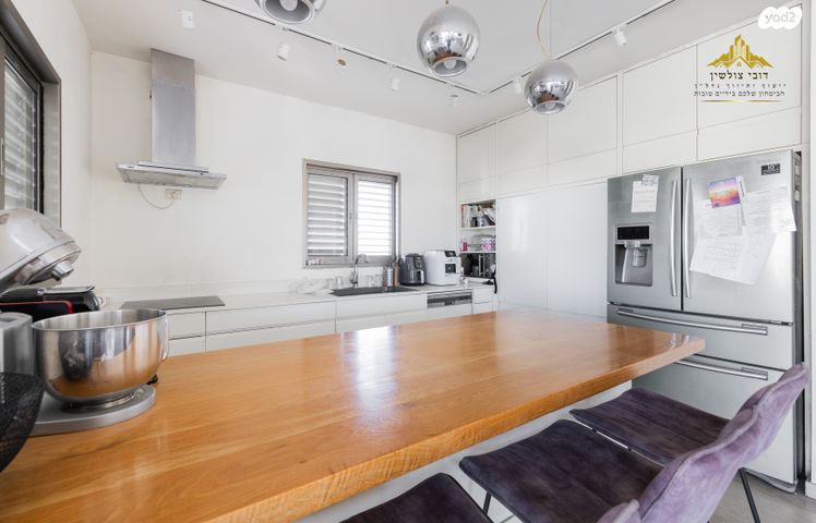 דופלקס, המרכז השקט / מרכז העיר, פתח תקווה