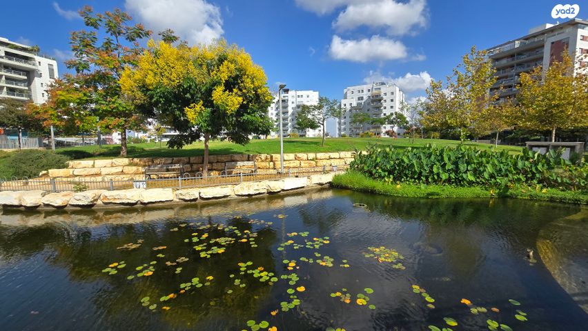 דירה, אהבת אדם, שרונה, כפר יונה