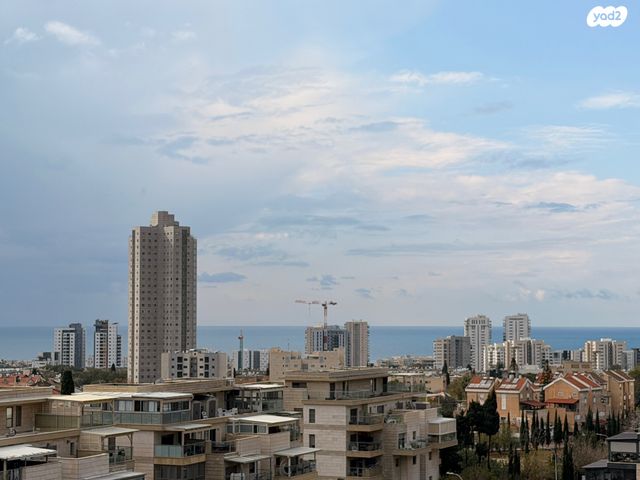 דירה, החרוב, טירת כרמל