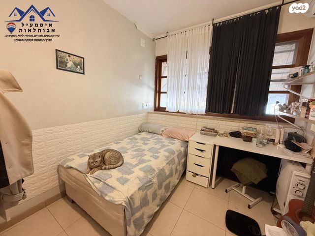 דירה, ההגנה, השופטים צפון, רמלה