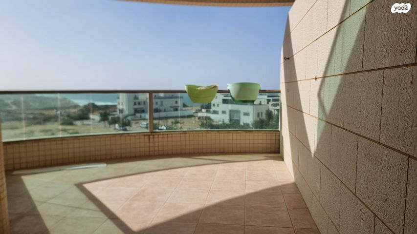 בני בנימין 55