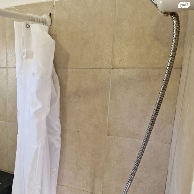 דירה, דגניה, רמב"ם, ראשון לציון