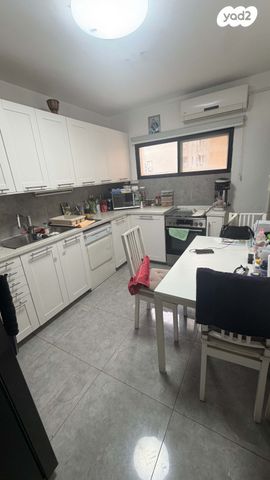 יואל סלומון 