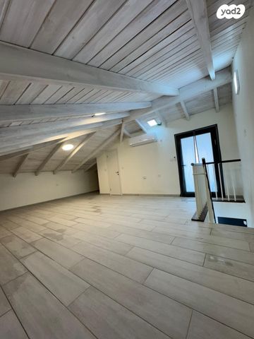 דירה, עץ השדה, אדמית / יערית, שלומי