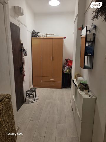 זלמן שניאור 8