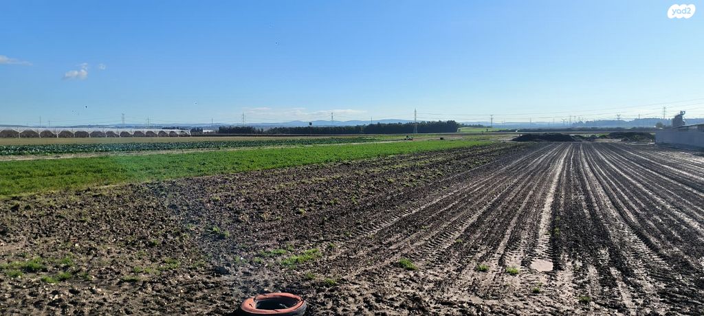 יחידת דיור, בנימינה גבעת עדה