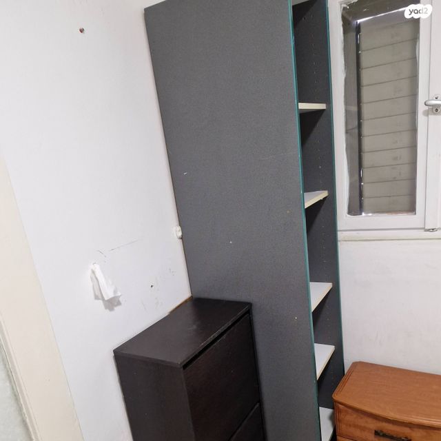 דירה, דגניה, רמב"ם, ראשון לציון