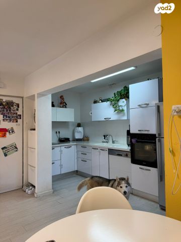 הר הצופים 23