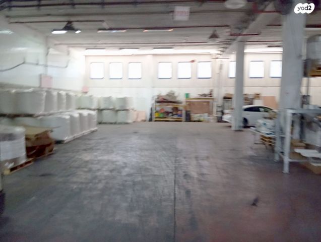 שדרות הדקלים 