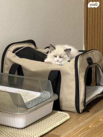 תמונת מודעה - חיות מחמד