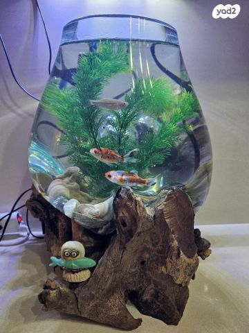 תמונת מודעה - חיות מחמד