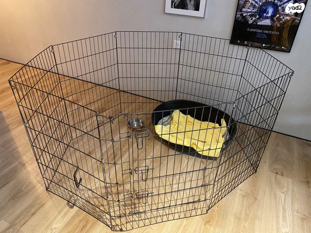 תמונת מודעה - חיות מחמד