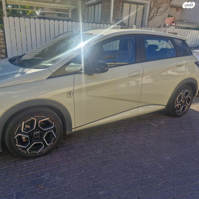 בי.ווי.די דולפין