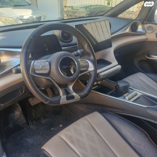 בי.ווי.די דולפין