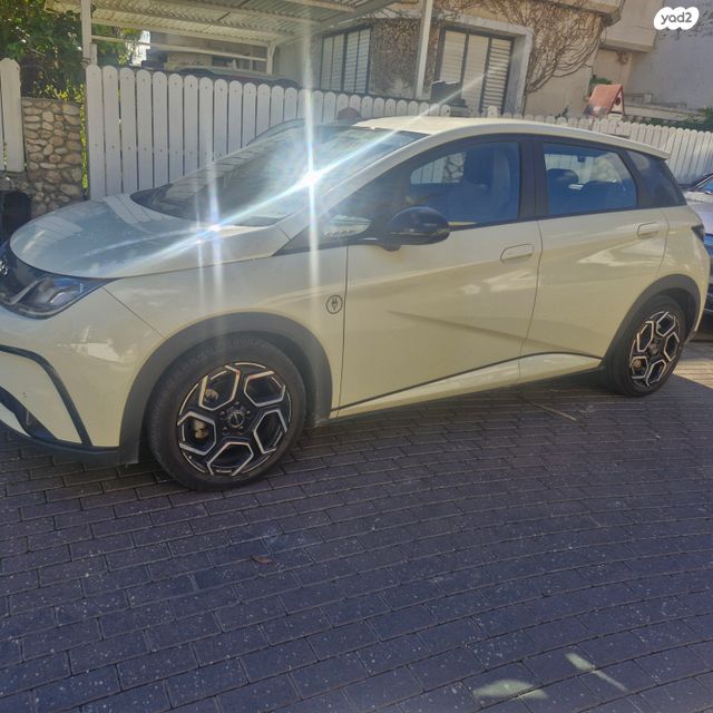 בי.ווי.די דולפין