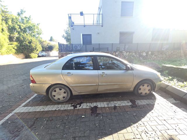 טויוטה קורולה