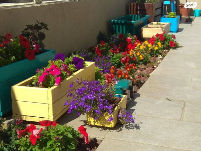 דירה, האורן 50, שאר העיר, רמת ישי