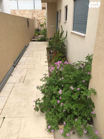 דופלקס, מרום כנען 1, מרום כנען איביקור, צפת